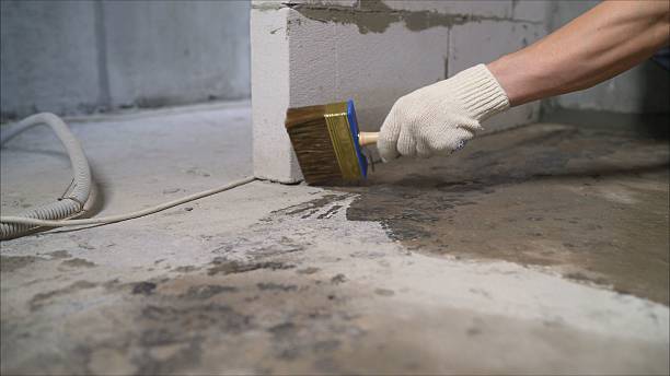 SJ Waterproofing Pros Exterior Waterproofing coverage map for Greenback, TN and surrounding area